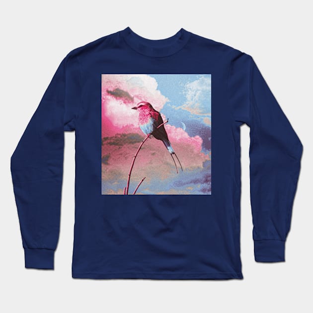 Colorful bird sky Long Sleeve T-Shirt by Frajtgorski